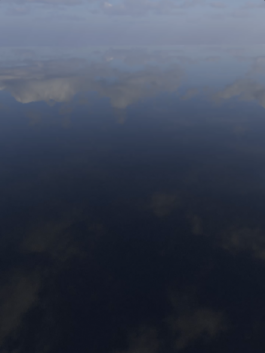  takis basil 3d design