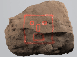  takis basil 3d design